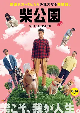 国产黄视频在线观看
