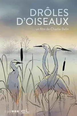 欧美xx网站