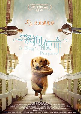 成人伊人