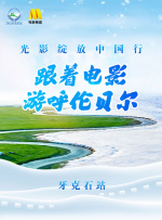 100款夜间禁用下载大全