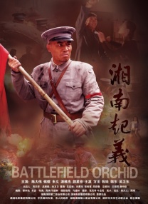 中文综合