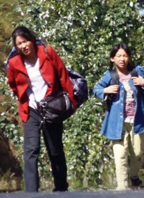 国产一区二区三区在线看