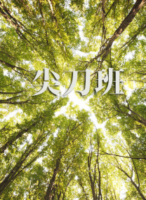 日韩精品在线私人