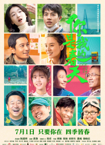 一级理论片